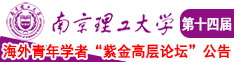 骚逼高清无码赛克南京理工大学第十四届海外青年学者紫金论坛诚邀海内外英才！